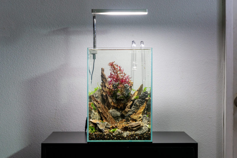 Ultra clear rimless 5.9-gallon aquarium by Ultum Nature Systems, sleek and modern rimless tank for aquatic setups.