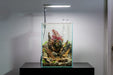 UNS 25T - 5.9 Gallon Ultra Clear Rimless Aquarium