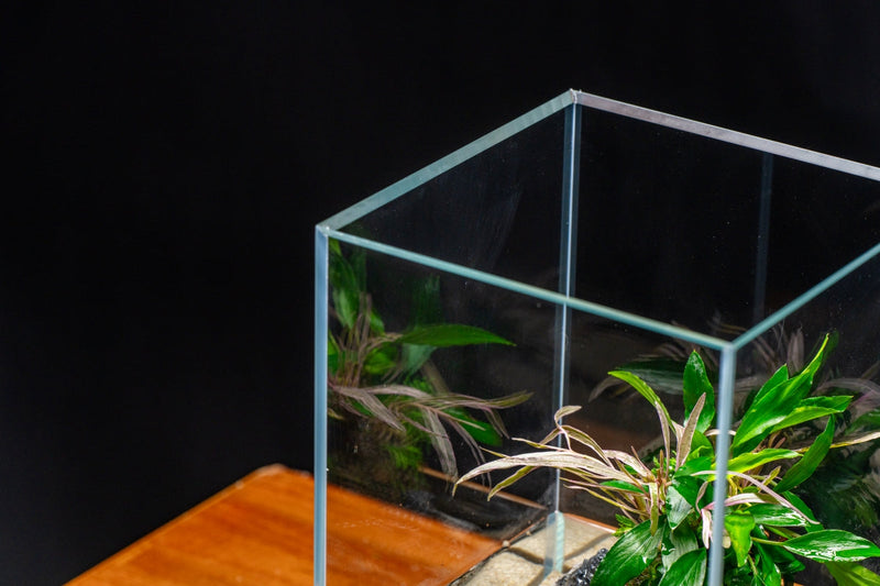 Ultum Nature Systems UNS 25TM 5.9-gallon prism rimless tank with sleek, clear glass design for aquatic displays.