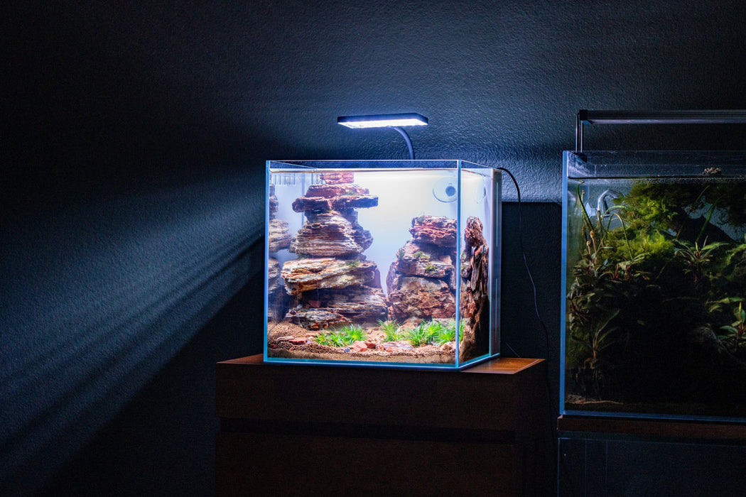 UNS 30A - 7 Gallon Ultra Clear All In One Rimless Aquarium - White