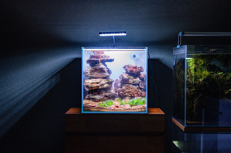 Ultum Nature Systems UNS 30A 5.5-gallon ultra clear rimless all-in-one aquarium in white, showing sleek, modern design and transparent glass