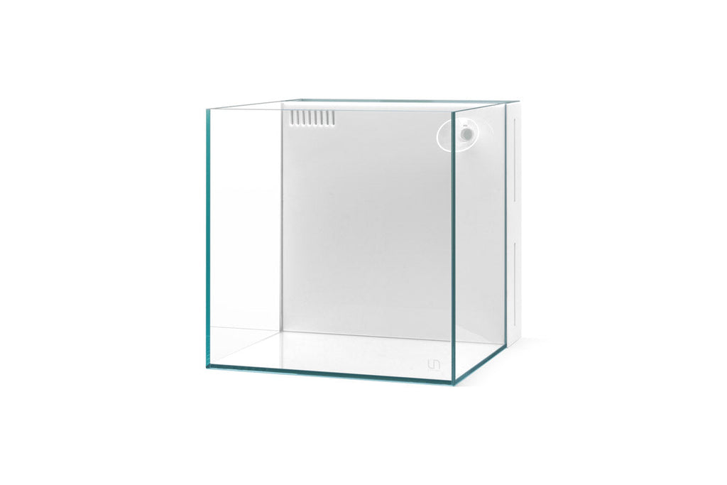 Rimless Glass Aquarium Tanks - Ultum Nature Systems — Buce Plant