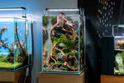 Ultum Nature Systems UNS 30TM 9.7-gallon prism rimless aquarium tank with sleek, clear glass design.