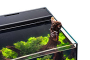 Ultum Nature Systems UNS 35A 11.3-gallon dual AIO rimless aquarium with sleek, modern design and clear viewing panels.
