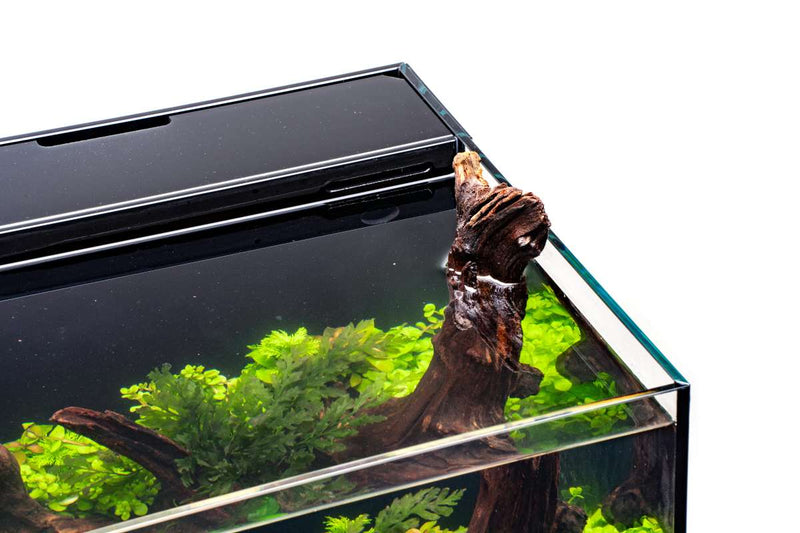 Ultum Nature Systems UNS 35A 11.3-gallon dual AIO rimless aquarium with sleek, modern design and clear viewing panels.