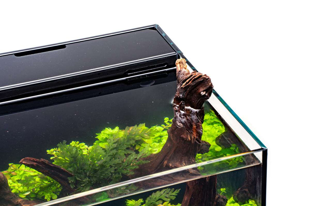 Ultum Nature Systems UNS 35A 11.3-gallon dual AIO rimless aquarium showing clear glass, sleek design, and integrated filtration system.