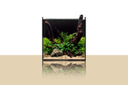 Ultum Nature Systems UNS 35A 11.3-gallon dual AIO rimless aquarium showing clear glass with integrated filtration and sleek rimless design.