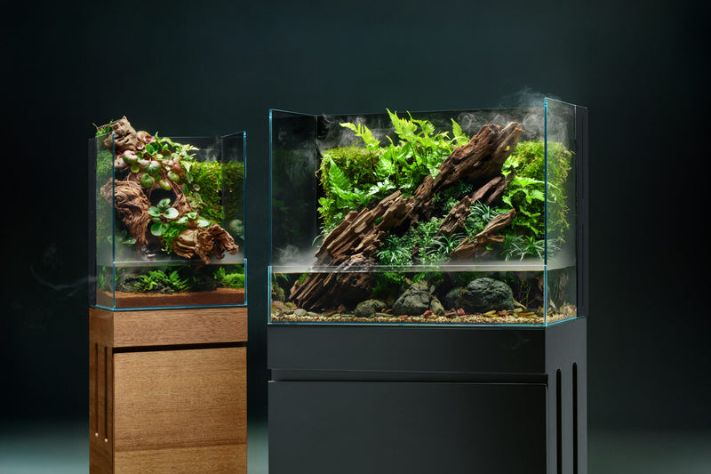 Rimless UNS 35E Foresta Integrated Paludarium V2 by Ultum Nature Systems showing lush plant and aquatic habitat with glass tank