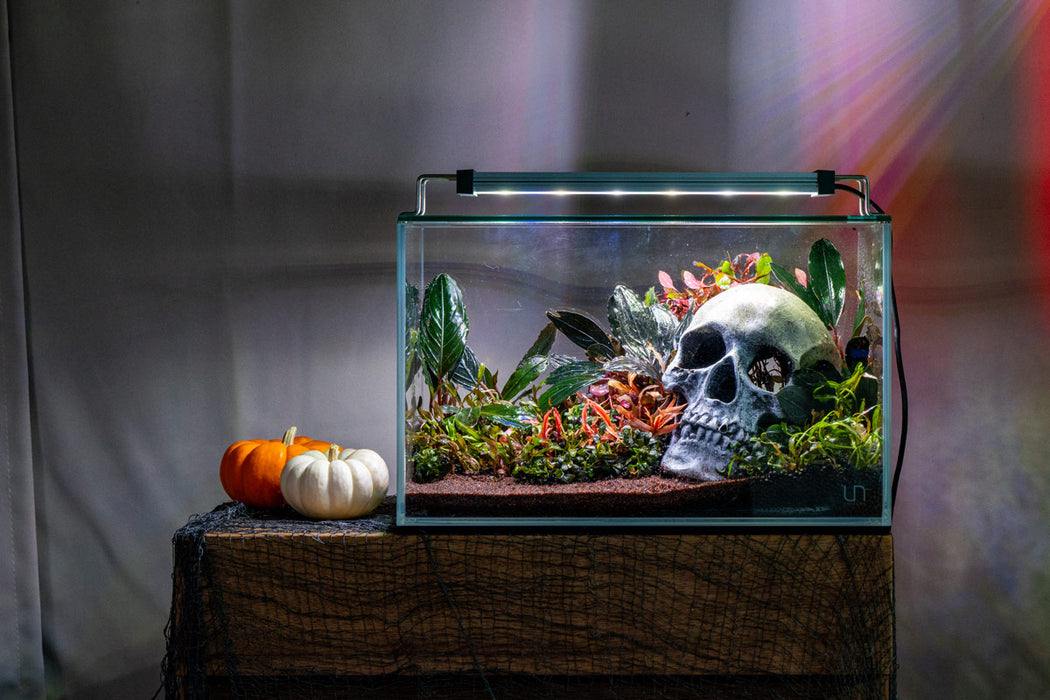 UNS 3N - 2.9 Gallon Ultra Clear Rimless Aquarium