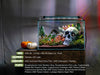 Ultra Clear Rimless Tank by Ultum Nature Systems, 3-gallon Nano Aquarium with sleek, transparent glass for modern aquatic displays.