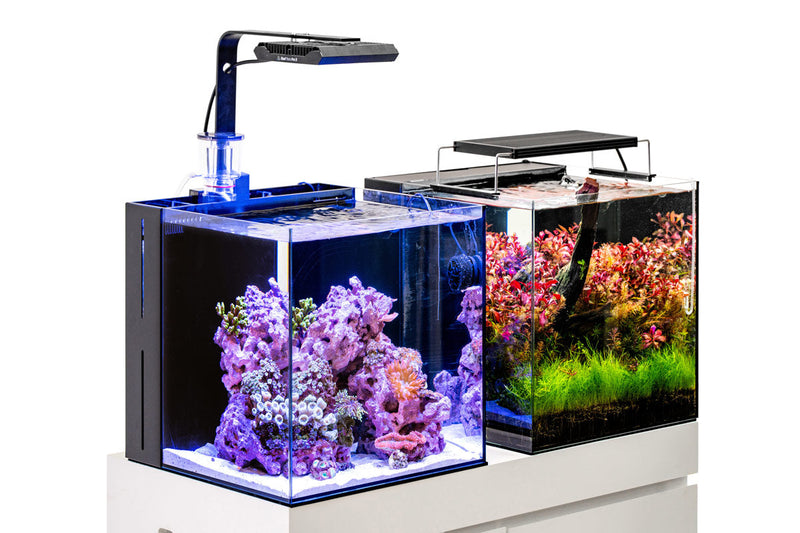 Ultum Nature Systems UNS 40A 16.9-gallon dual AIO rimless aquarium with sleek, modern design and clear glass display.
