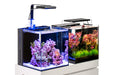 UNS 40A - 16 Gallon Dual AIO Rimless Aquarium