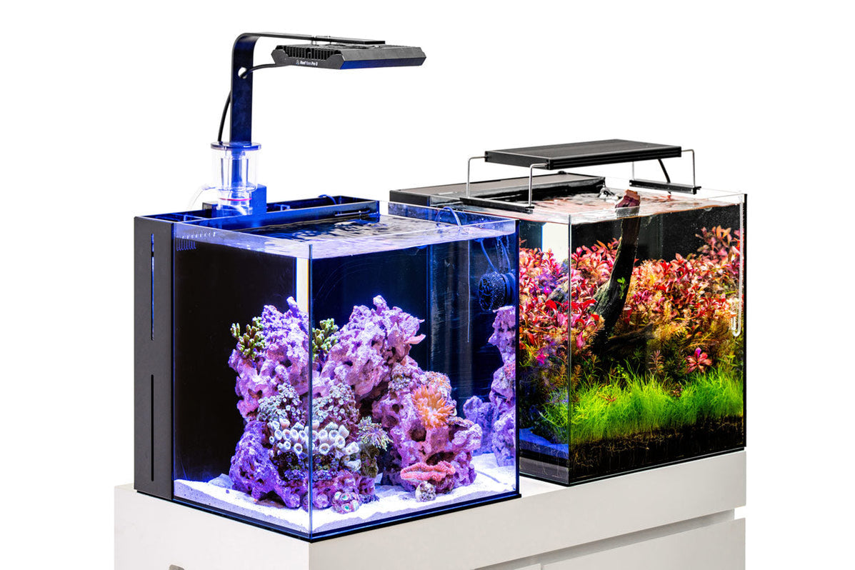 UNS 40A - 16.9 Gallon Dual AIO Rimless Aquarium