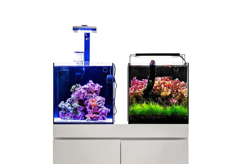 Ultum Nature Systems UNS 40A 16.9-gallon dual AIO rimless aquarium with sleek, modern design and clear glass sides.