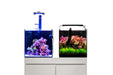 UNS 40A - 16 Gallon Dual AIO Rimless Aquarium