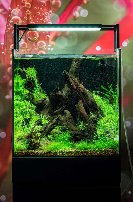 UNS 40A - 16 Gallon Dual AIO Rimless Aquarium