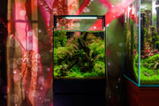 Ultum Nature Systems UNS 40A 16.9-gallon dual AIO rimless aquarium with sleek, modern design and clear glass for aquatic displays.