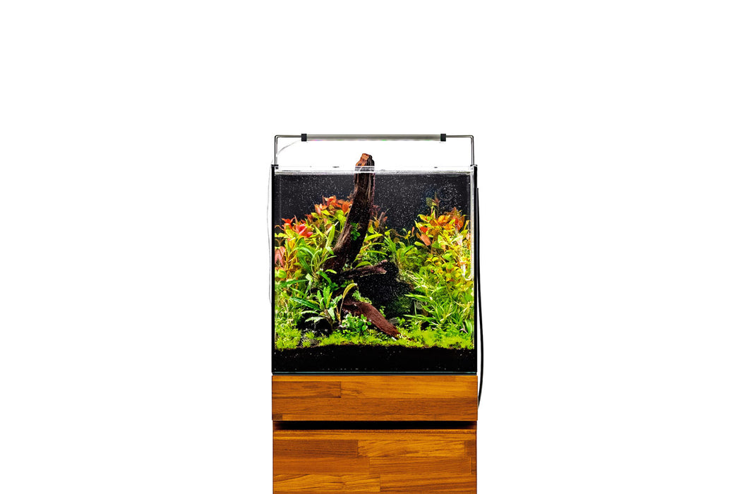 UNS 40A - 16 Gallon Dual AIO Rimless Aquarium