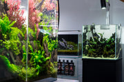 Ultra clear 16.9-gallon rimless aquarium by Ultum Nature Systems, UNS 40C, showcasing sleek, rimless design for aquatic display.