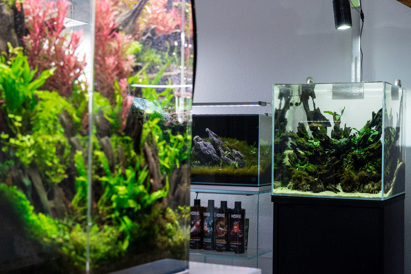 Ultra clear 16.9-gallon rimless aquarium by Ultum Nature Systems, UNS 40C, showcasing sleek, rimless design for aquatic display.