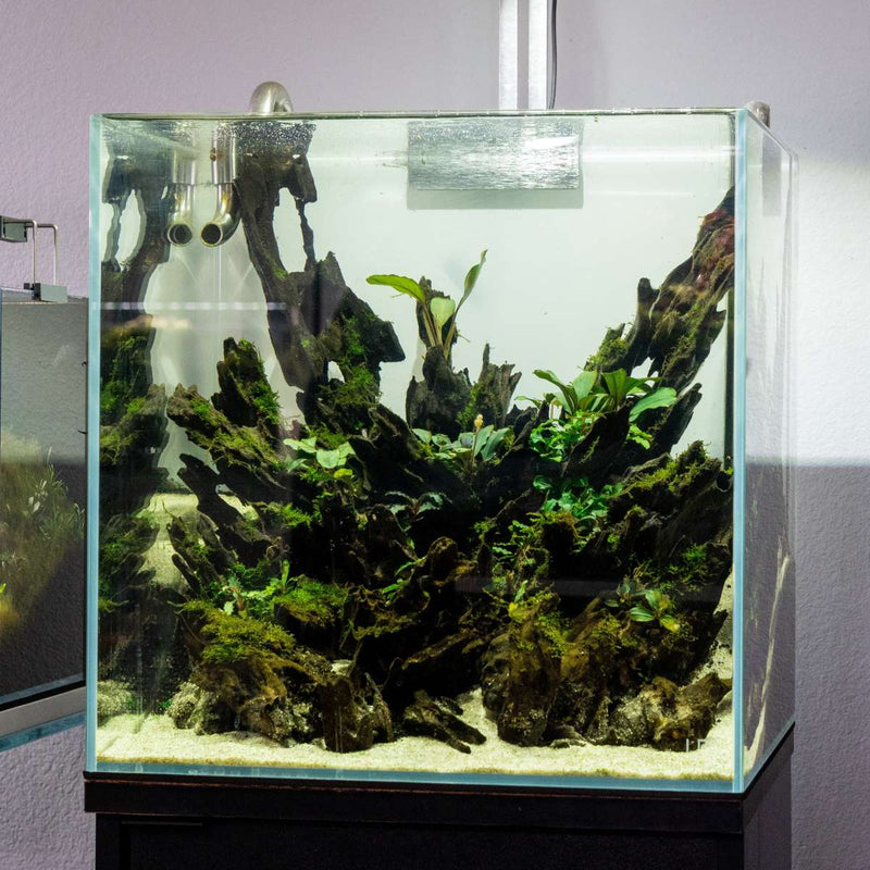 Ultra clear UNS 40C 16.9-gallon rimless aquarium by Ultum Nature Systems, showcasing sleek, modern design and transparent glass.