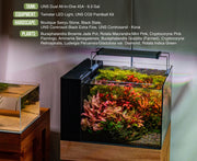 UNS Controsand - Kona Substrate - Buce Plant