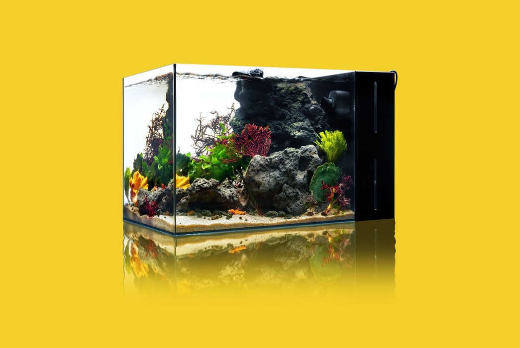 UNS 5N - 4 Gallon Ultra Clear Rimless Aquarium