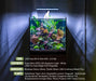 Clear UNS Ultra Clear Dual AIO Tank by Ultum Nature Systems, all-in-one aquarium tank with transparent design.