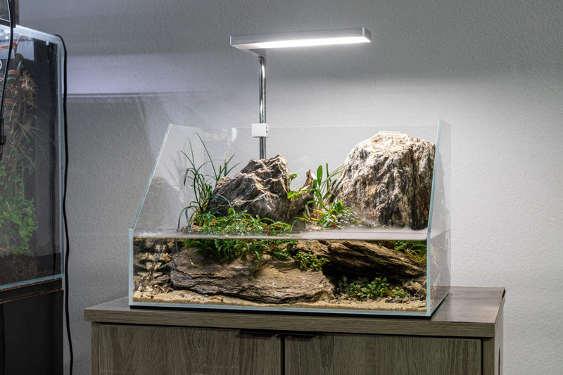 Clear glass UNS 45E 3.8-gallon rimless paludarium from Ultum Nature Systems, showcasing its sleek, ultra-clear design and open top.