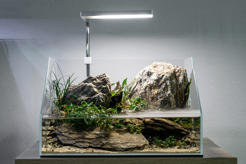Ultra clear rimless UNS 45E 3.8-gallon paludarium tank by Ultum Nature Systems, showcasing its sleek glass design and open top.
