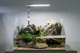 UNS 45E - 3.8 Gallon Ultra Clear Rimless Paludarium