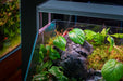 UNS 45E - 3.8 Gallon Ultra Clear Rimless Paludarium