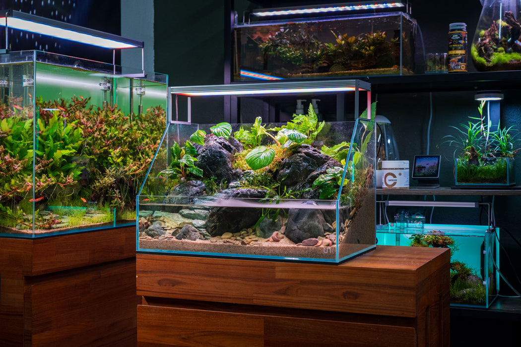 UNS 45E - 3.8 Gallon Ultra Clear Rimless Paludarium