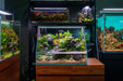 UNS 45E - 3.8 Gallon Ultra Clear Rimless Paludarium