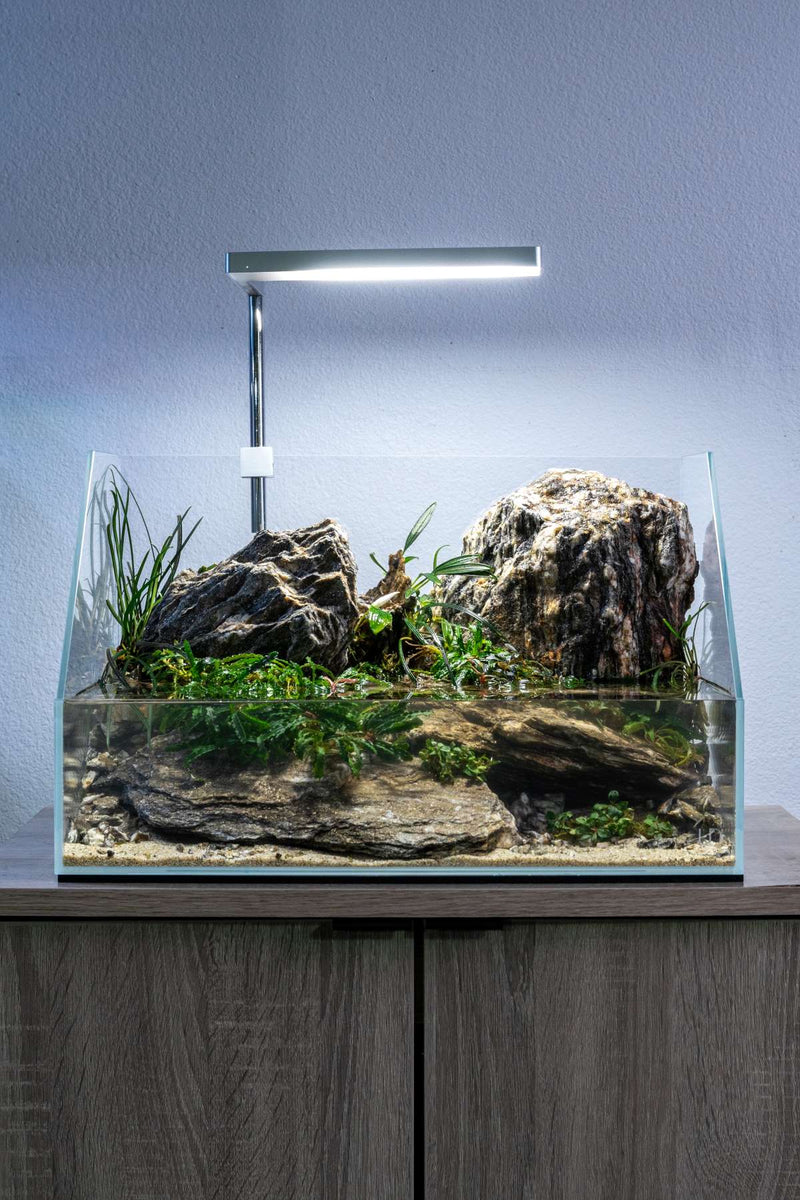 Ultra-clear UNS 45E Paludarium Enclosure Kit by Ultum Nature Systems, rimless tank with natural aquatic and terrestrial features.
