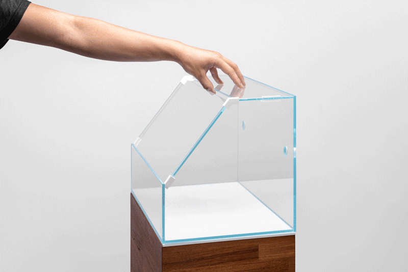 Rimless UNS 45E Paludarium Enclosure Kit by Ultum Nature Systems with clear glass panels and black frame, suitable for aquatic and terrestrial setups.