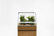 Rimless UNS 45E Paludarium Enclosure Kit by Ultum Nature Systems with glass panels for aquatic and terrestrial habitat display
