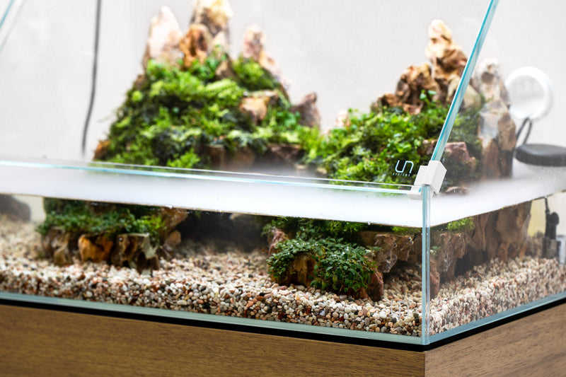 Rimless UNS 45E Paludarium Enclosure Kit by Ultum Nature Systems, clear glass tank with seamless edges for aquatic and terrestrial setup