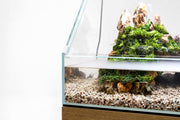 Rimless UNS 45E Paludarium Enclosure Kit by Ultum Nature Systems featuring glass panels and open-top design for aquatic and terrestrial habitats.