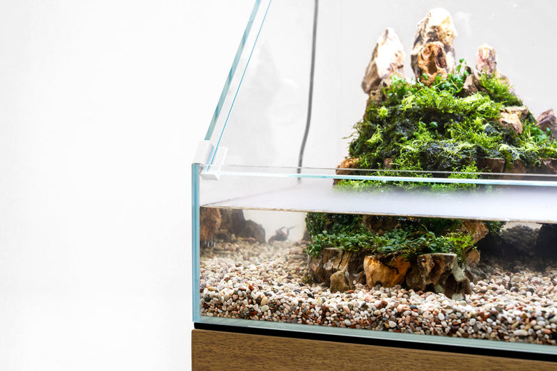 Rimless UNS 45E Paludarium Enclosure Kit by Ultum Nature Systems featuring glass panels and open-top design for aquatic and terrestrial habitats.