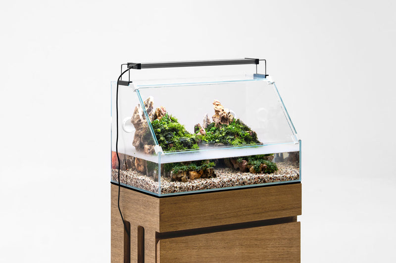 Rimless UNS 45E Paludarium Enclosure Kit by Ultum Nature Systems with glass panels and built-in frame for aquatic and terrestrial habitats.
