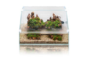 Rimless UNS 45E Paludarium Enclosure Kit by Ultum Nature Systems, clear glass tank with open top and sleek design.
