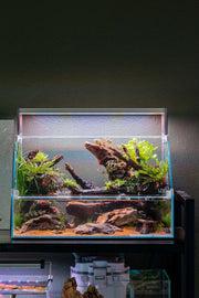 Rimless UNS 45E Paludarium Enclosure Kit by Ultum Nature Systems, clear glass tank with open top and naturalistic design.