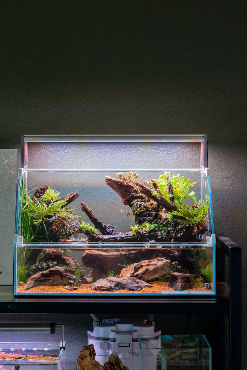 Rimless UNS 45E Paludarium Enclosure Kit by Ultum Nature Systems, clear glass tank with open top and naturalistic design.