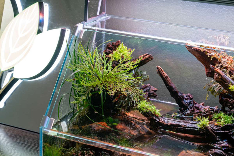 Rimless UNS 45E Paludarium Enclosure Kit by Ultum Nature Systems with clear glass panels and integrated design for aquatic and terrestrial habitats.