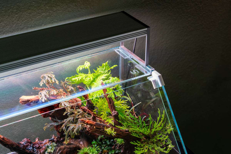 Rimless UNS 45E Paludarium Enclosure Kit by Ultum Nature Systems, clear glass tank for aquatic and terrestrial setup.