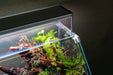 UNS 45E Paludarium Enclosure Kit