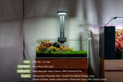 UNS Ultra Clear Tanks [LONG] Rimless Tanks - Buce Plant