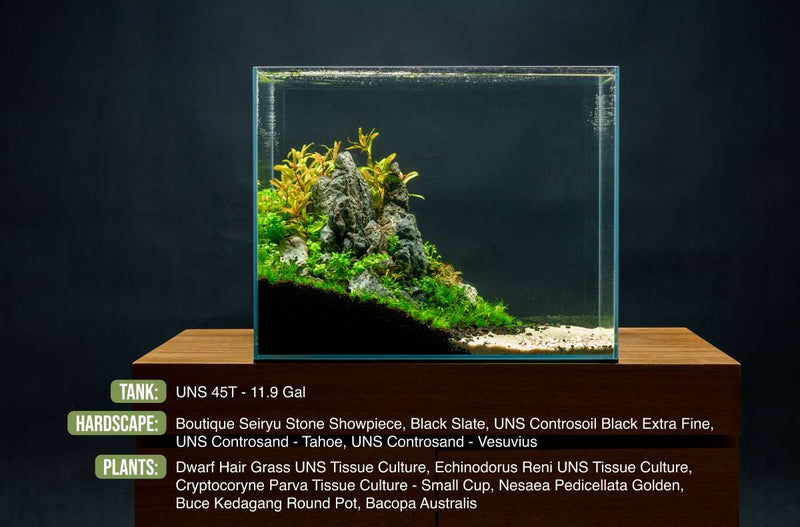 UNS Controsand - Tahoe Substrate - Buce Plant
