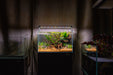 UNS 45U - 9.3 Gallon Ultra Clear Rimless Aquarium